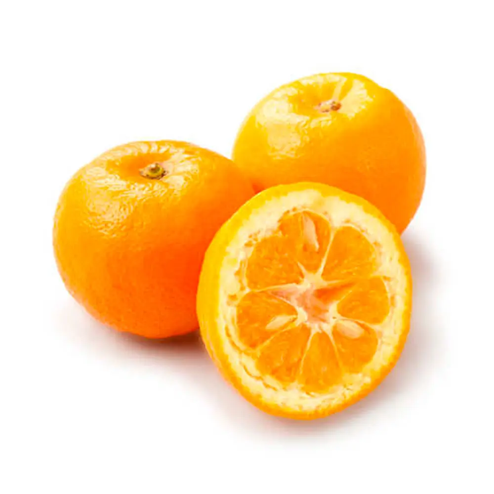 Marmelade oranges amères Les douceurs de Bruno Théoule-sur-Mer